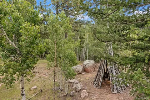 75 Grosbeak Cir, Divide, CO 80814 photo 4