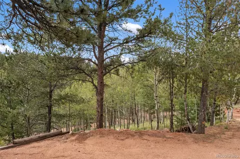 75 Grosbeak Cir, Divide, CO 80814 photo 41