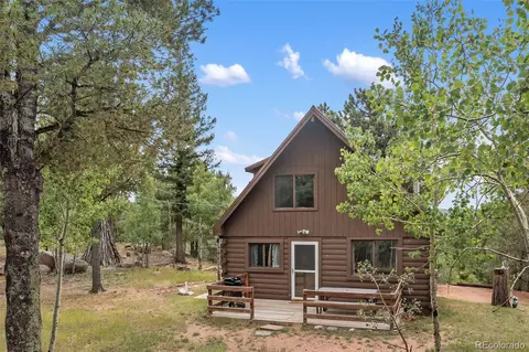 75 Grosbeak Cir, Divide, CO 80814 photo 44