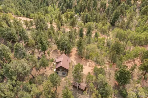 75 Grosbeak Cir, Divide, CO 80814 photo 35