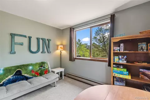 75 Grosbeak Cir, Divide, CO 80814 photo 19