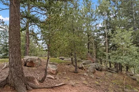 75 Grosbeak Cir, Divide, CO 80814 photo 39