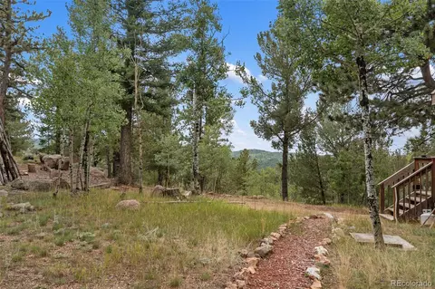 75 Grosbeak Cir, Divide, CO 80814 photo 38