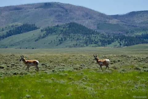 Jcr 2, Walden, CO 80480 photo 16
