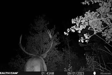Jcr 2, Walden, CO 80480 photo 8