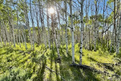 Jcr 2, Walden, CO 80480
