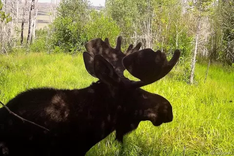 Jcr 2, Walden, CO 80480 photo 7