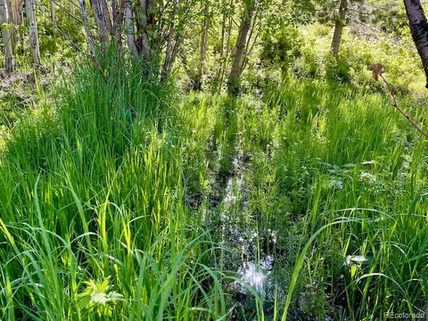 Jcr 2, Walden, CO 80480 photo 5