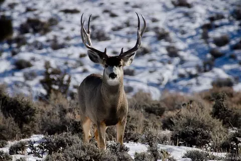 Jcr 2, Walden, CO 80480 photo 12