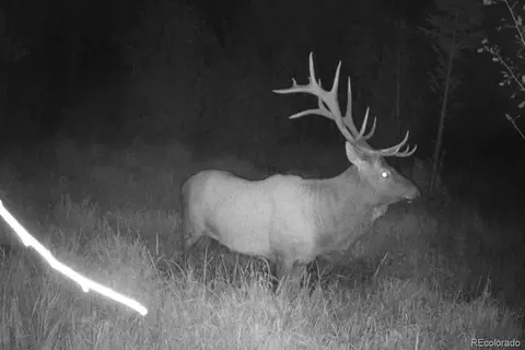 Jcr 2, Walden, CO 80480 photo 9