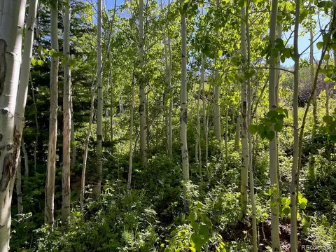 Jcr 2, Walden, CO 80480 photo 21