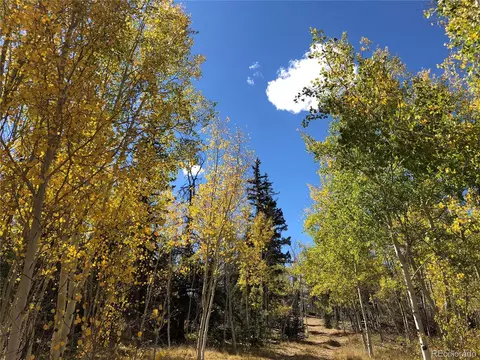 683 Latigo Loop, Hartsel, CO 80820 photo 2