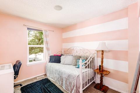 10784 Eudora Cir, Thornton, CO 80233 photo 17