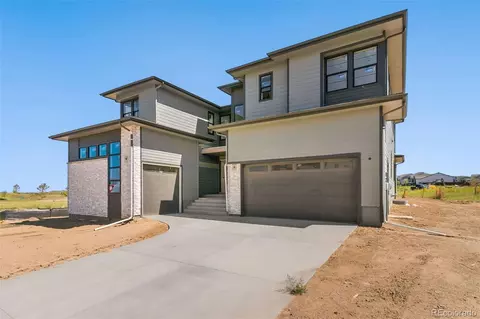 1701 Branching Canopy Dr, Windsor, CO 80550 photo 2