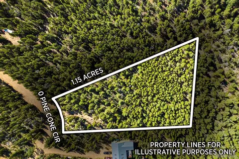 0 Pine Cone Cir, Ward, CO 80401 photo 8