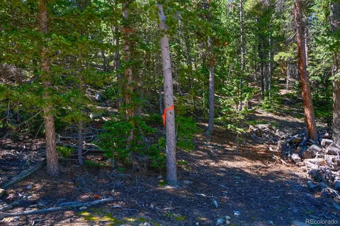 0 Pine Cone Cir, Ward, CO 80401 photo 13