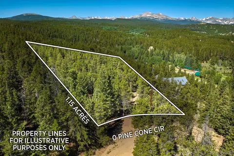 0 Pine Cone Cir, Ward, CO 80401 photo 5