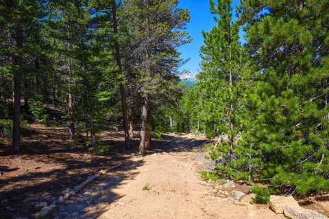 0 Pine Cone Cir, Ward, CO 80401 photo 11
