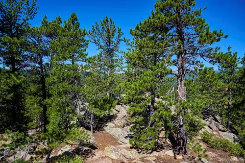 0 Pine Cone Cir, Ward, CO 80401 photo 15