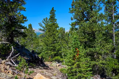 0 Pine Cone Cir, Ward, CO 80401 photo 16