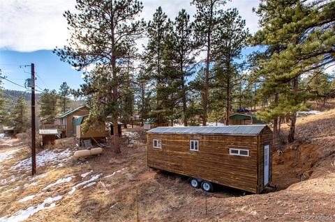 16766 S 4th St, Pine, CO 80470 photo 22