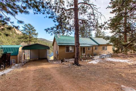 16766 S 4th St, Pine, CO 80470 photo 23