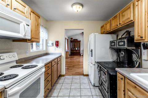 16766 S 4th St, Pine, CO 80470 photo 10