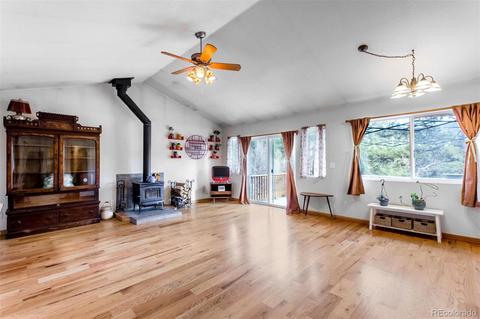 16766 S 4th St, Pine, CO 80470 photo 3