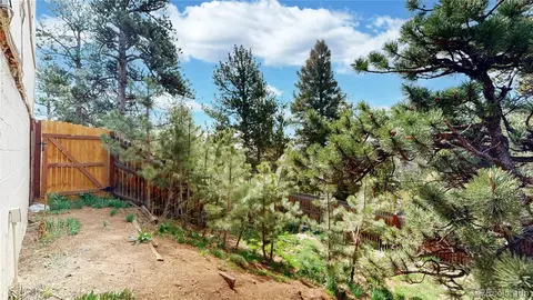 Exterior - 60 Ball Rd, Bailey, CO 80421 photo 10 of 10