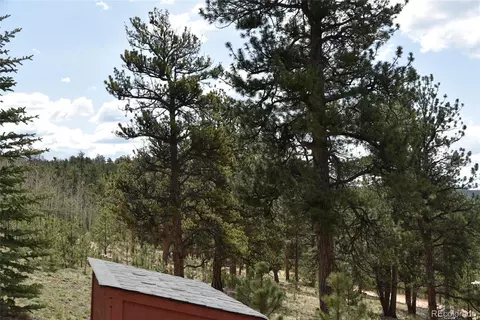 Other - 60 Ball Rd, Bailey, CO 80421 photo 8 of 16