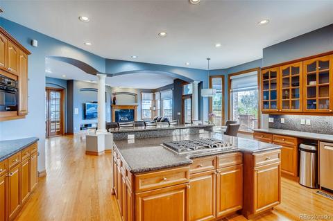 10259 Longview Dr, Lone Tree, CO 80124 photo 8
