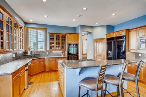 10259 Longview Dr, Lone Tree, CO 80124 photo 9