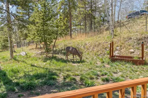 Other - 11544 Green Ct, Conifer, CO 80433 photo 2 of 6