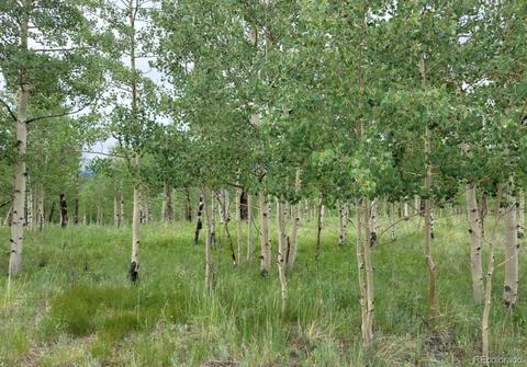 241 Quartz Cir, Bailey, CO 80421 photo 1