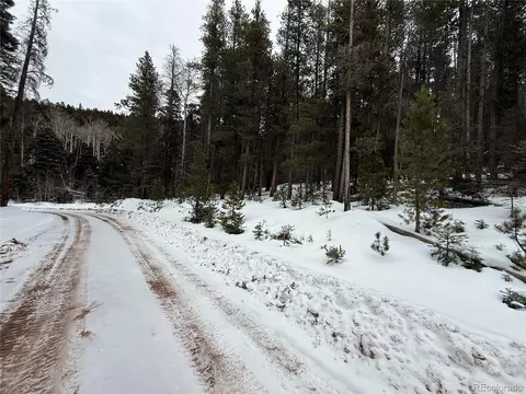 lot2805 Moir Dr, Fort Garland, CO 81133