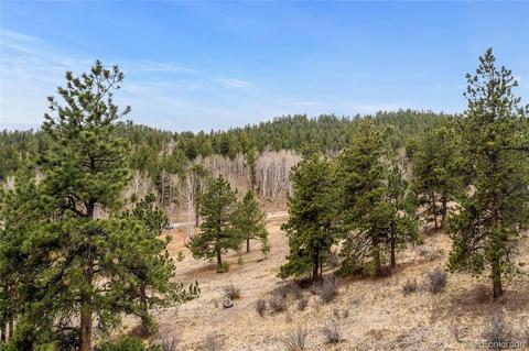 34131 Natural Spring Rd, Pine, CO 80470 photo 14