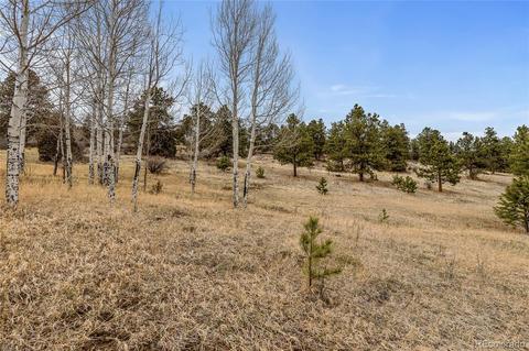 34131 Natural Spring Rd, Pine, CO 80470 photo 6
