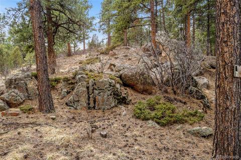 34131 Natural Spring Rd, Pine, CO 80470 photo 13