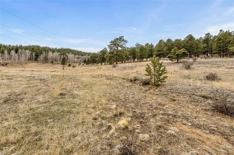 34131 Natural Spring Rd, Pine, CO 80470 photo 5
