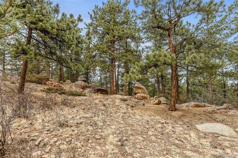 34131 Natural Spring Rd, Pine, CO 80470 photo 3