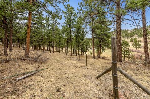 34131 Natural Spring Rd, Pine, CO 80470 photo 4
