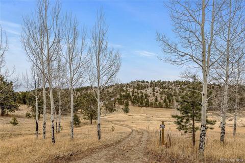 34131 Natural Spring Rd, Pine, CO 80470 photo 1