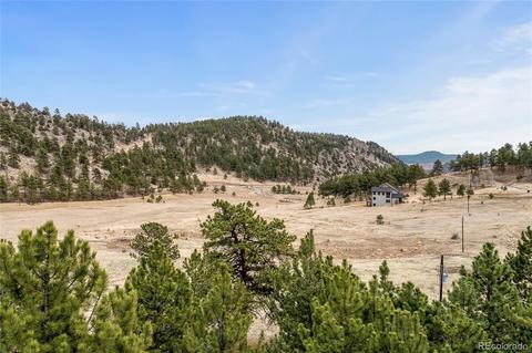 34131 Natural Spring Rd, Pine, CO 80470 photo 15