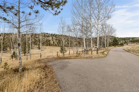 34131 Natural Spring Rd, Pine, CO 80470 photo 7