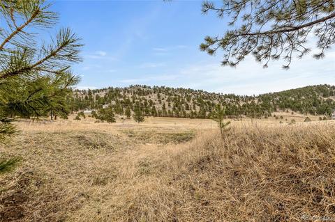 34131 Natural Spring Rd, Pine, CO 80470 photo 2