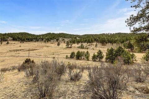 34131 Natural Spring Rd, Pine, CO 80470 photo 10