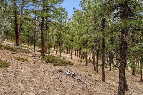 34131 Natural Spring Rd, Pine, CO 80470 photo 12
