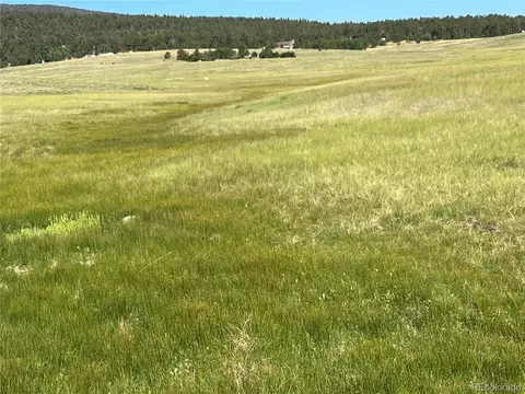 Ranch Road, Hartsel, CO 80449