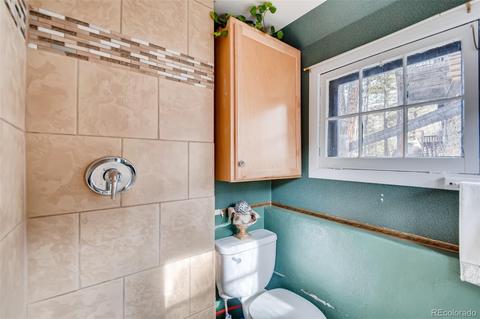 15958 Old Stagecoach Rd, Pine, CO 80470 photo 12