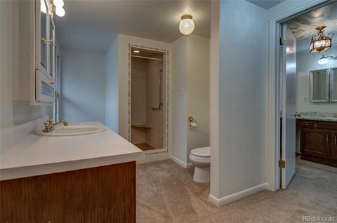 201 Loop Dr, Georgetown, CO 80444 photo 18